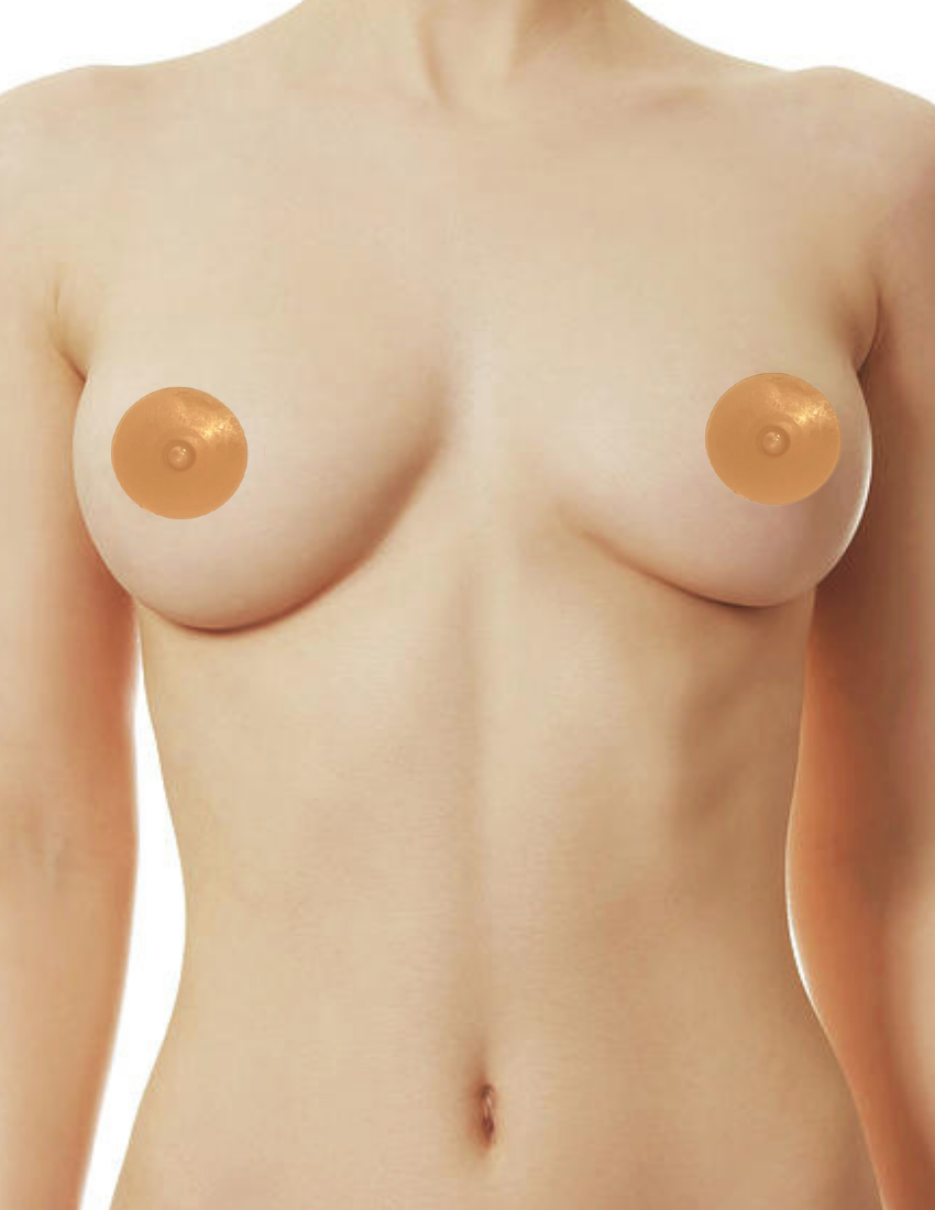 Perkies Natural Nips