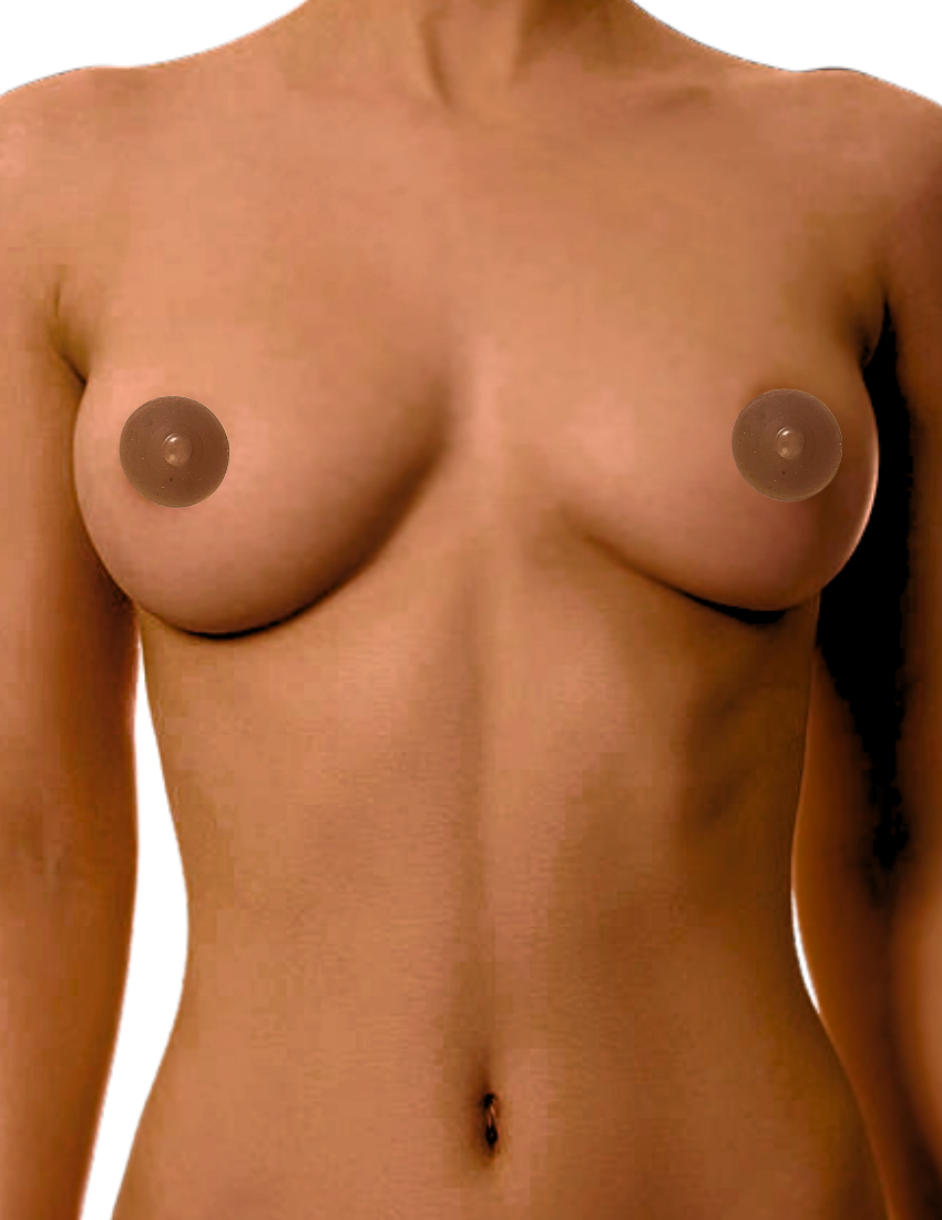 Perkies Natural Nips