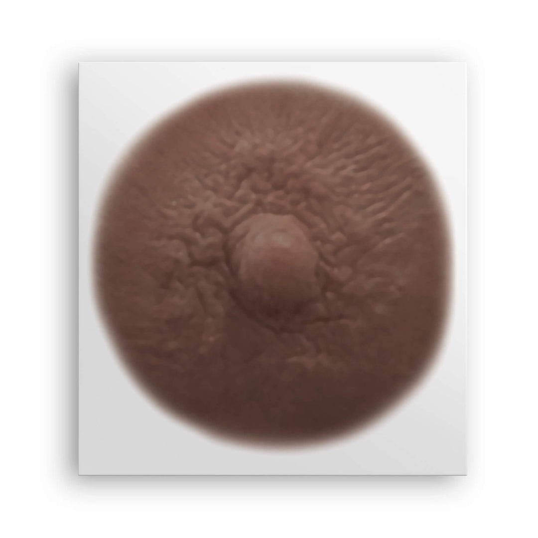 SIENNA – Temporary Nipple Tattoos for Mastectomy Restoration